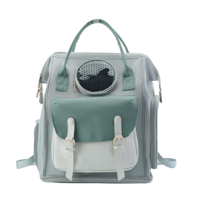 double-shoulder cat bag