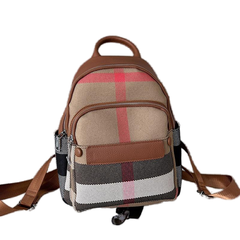 Fashion lady checked bag